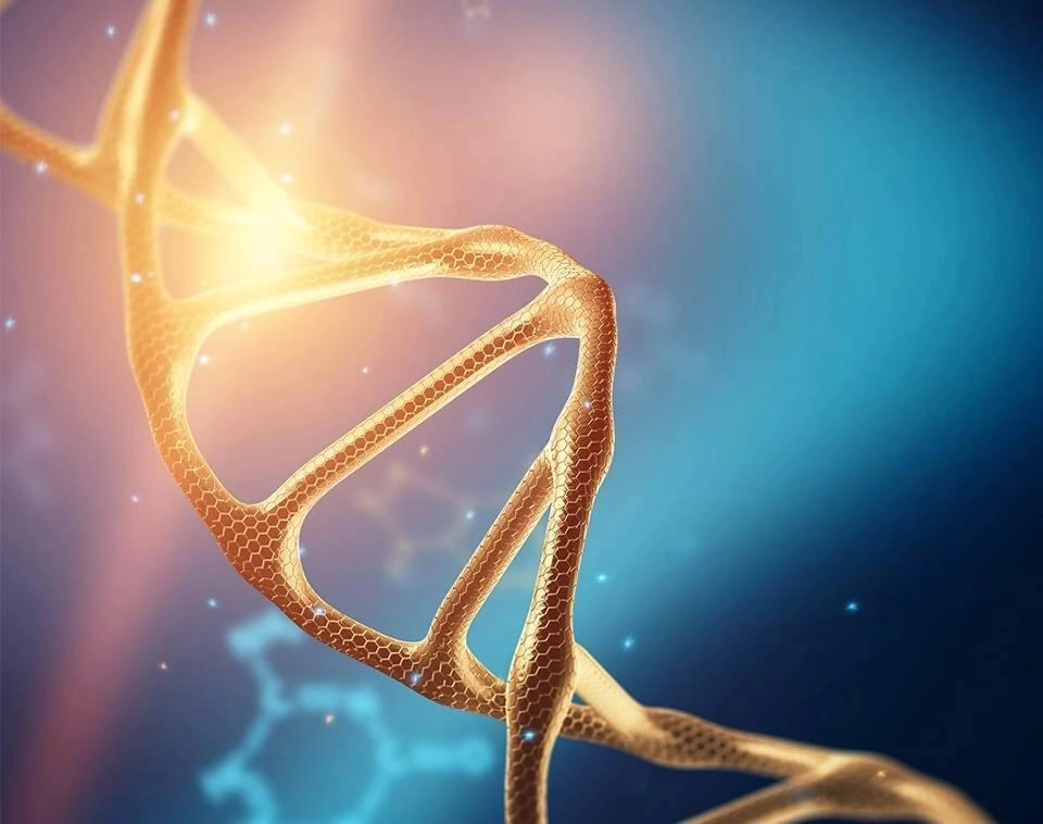IMAGEM ILUSTRATIVA - RNA