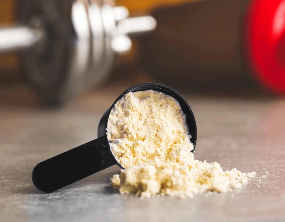 IMAGEM ILUSTRATIVA - SCOOP DE WHEY PROTEIN