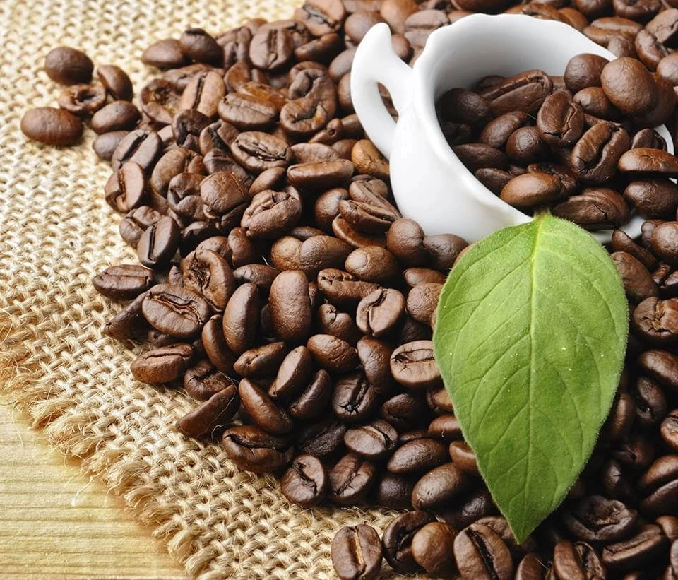 GROWTH SUPPLEMENTS - Imagem ilustrativa grãos de café com xícara