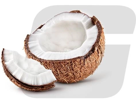 GROWTH SUPPLEMENTS - Imagem ilustrativa Logo Gsuplementos com um coco