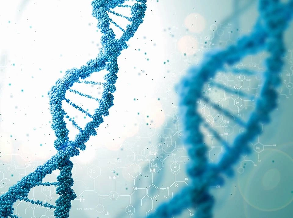 GROWTH SUPPLEMENTS - Imagem ilustrativa RNA