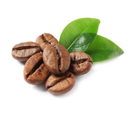 GROWTH SUPPLEMENTS - Imagem ilustrativa Logo Gsuplementos com café